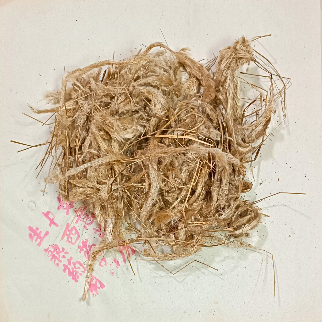 

Ramuan Herbal untuk Pendarahan / Mimisan / Mens Tidak Berhenti / Haid Tidak Berhenti