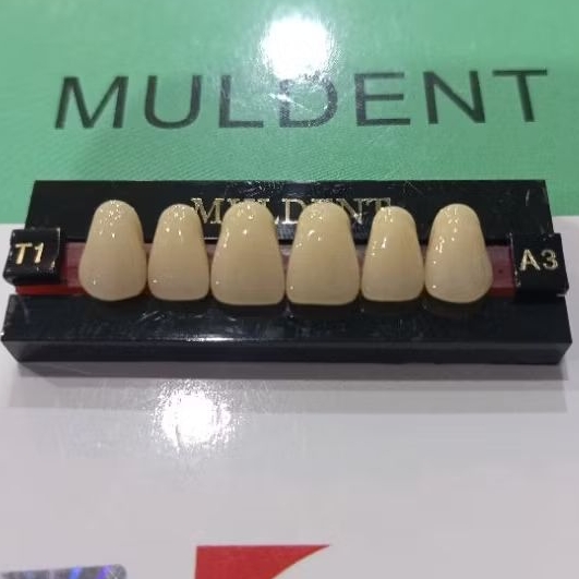 Gigi palsu Depan atas / Depan bawah MULDENT 1 papan