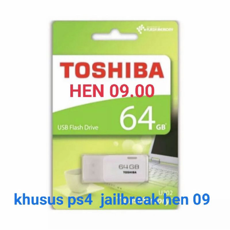 Toshiba Data PS4 USB  Flash Drive HEN 9.0