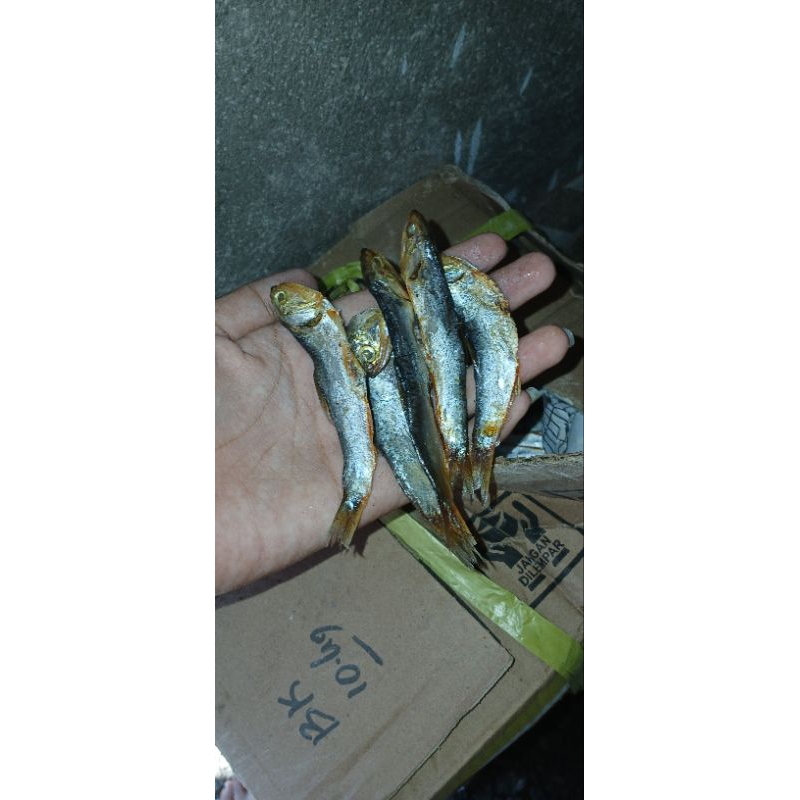 

Ikan Kering sampenit cup tawar