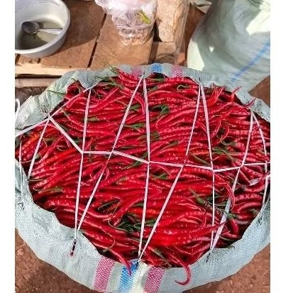 

cabai Merah Keriting/Besar