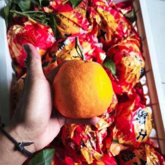 

Buah jeruk dekopon jumbo Yuji manis keranjang 6 kg size XXL