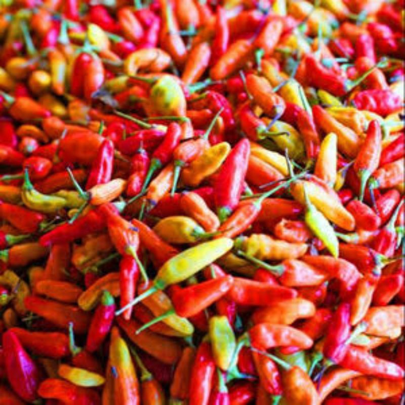 

Cabe rawit segar/ cabe rawit hijau/ cabe rawit merah/ cabe merah keriting 100gram
