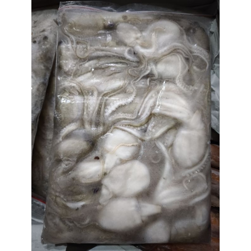 

Frozen Baby Gurita 1 kg