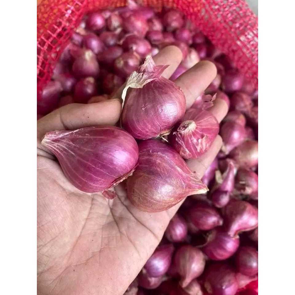 

Termurah Bawang Merah 500gr Bumbu Masak Fresh Langsung Dari Petani