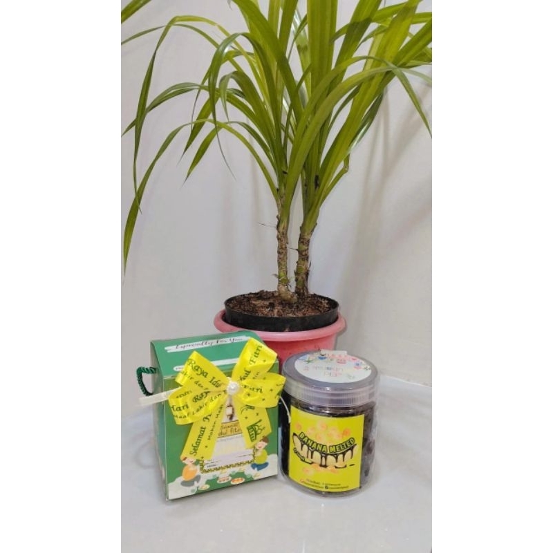 

Kripik pisang lumer viral/ Hampers lebaran 2025 viral/ Bananameltedbylincah 600ML/Hampers Murah/Hampers Lucu/ Hampers Unik