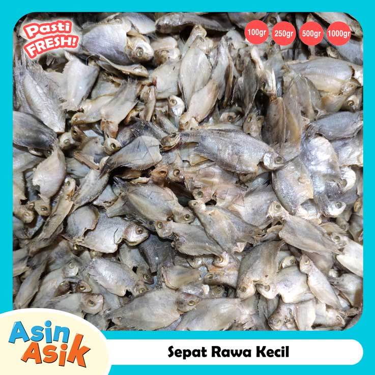 

Ikan Asin Sepat Rawa Kecil Premium Kualitas Super Bagus