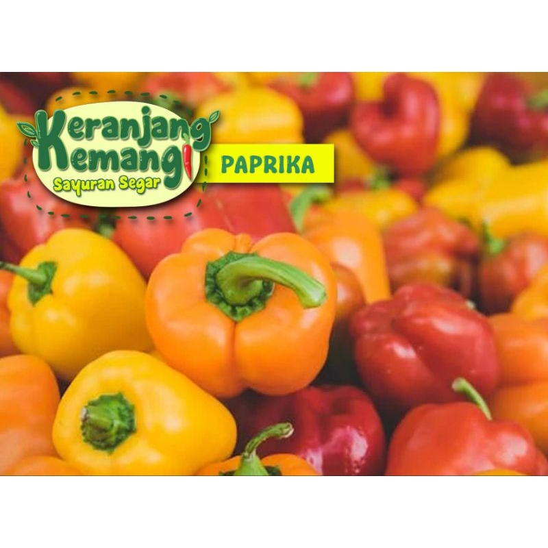 

Paprika Segar