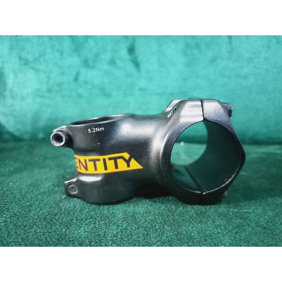 Stem Entity Oversize Copotan siskiu D5 2020