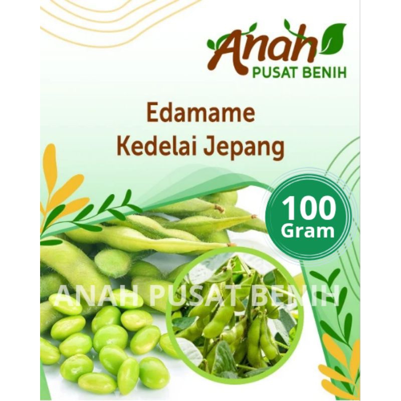 Benih Bibit EDAMAME 100 gram / bibit edamame / benih edamame berkualitas