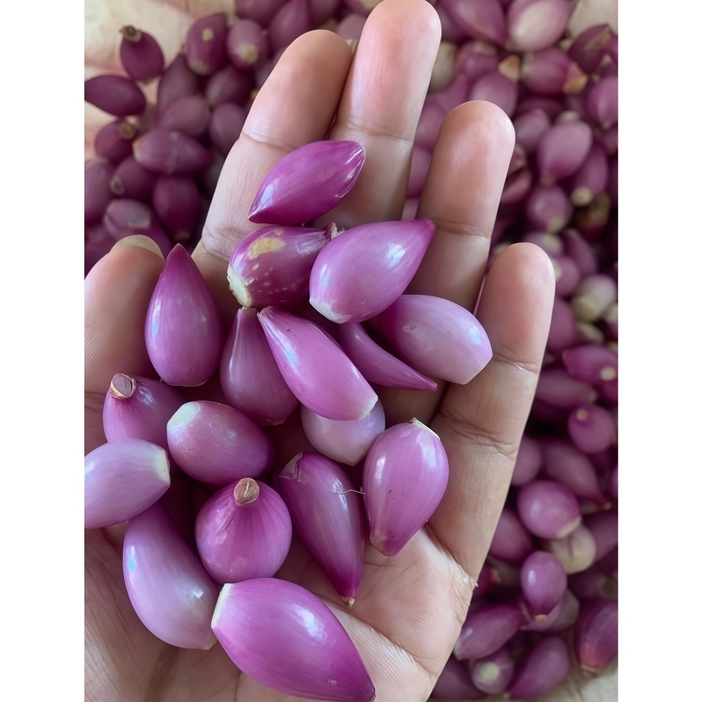 

Bawang Merah Kupasan asli kota Demak