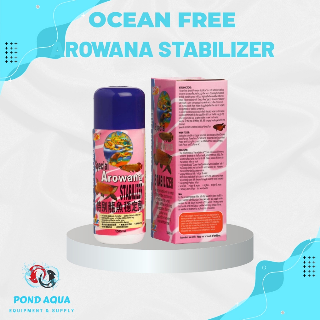 Bius Ikan Arwana Stabilizer Ocean Free
