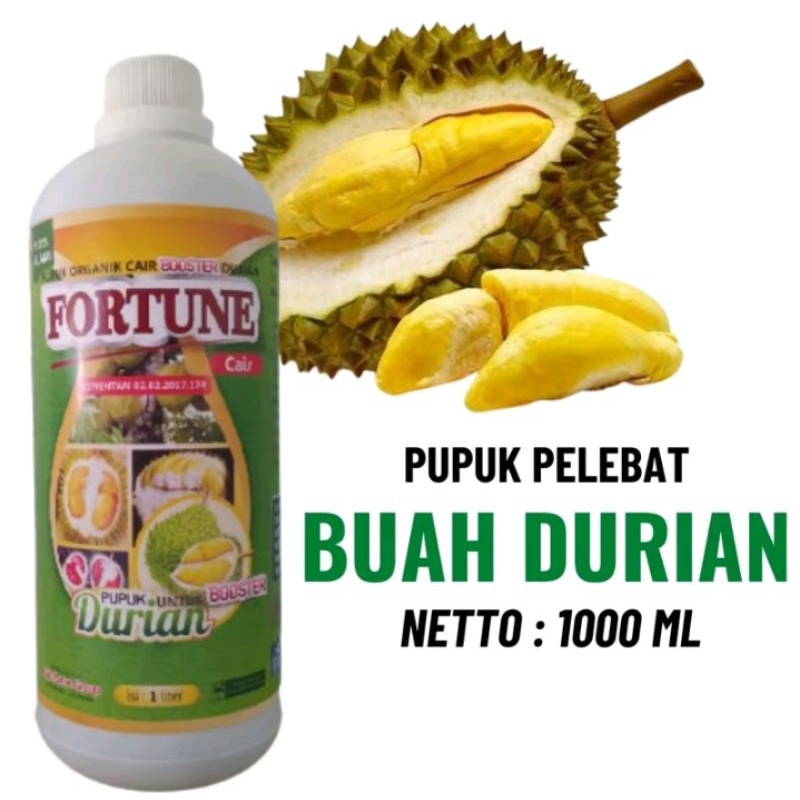 Fortune Pupuk cair booster Pelebat buah durian