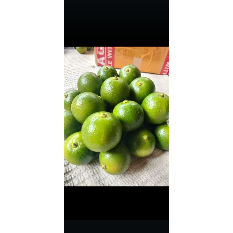 

jeruk sunkit / jeruk kasturi / jeruk kunci / jeruk lemon cui