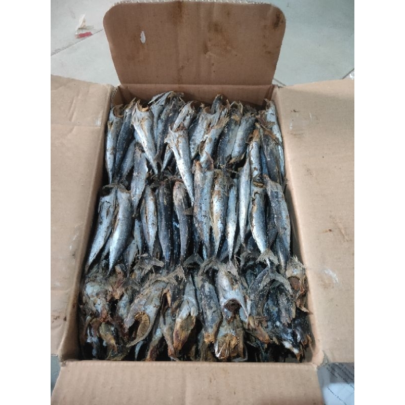 

Ikan Asin TONGKOL REBUS SUPER TANPA KEPALA Kemasan 1kg