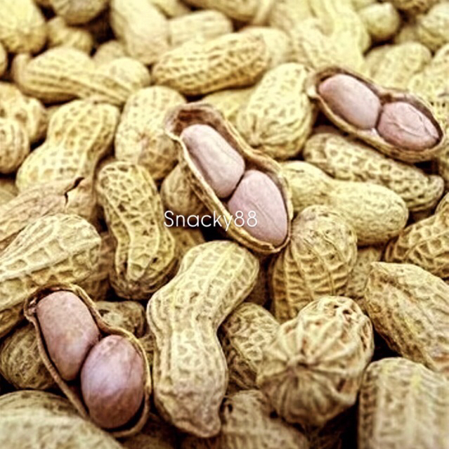 

Kacang Sangrai Oven (250gram)