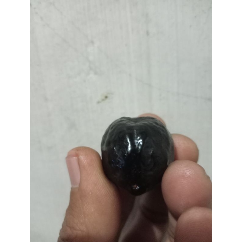 muncang adu jayanti garut