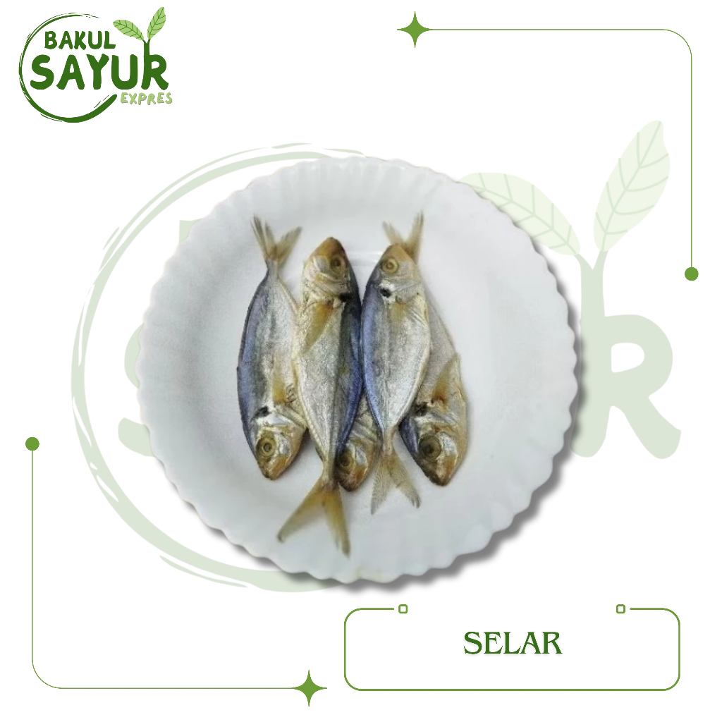 

Ikan Asin Selar 250gr | Bakul Sayur Expres