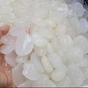 

kolang Kaling 1 kg