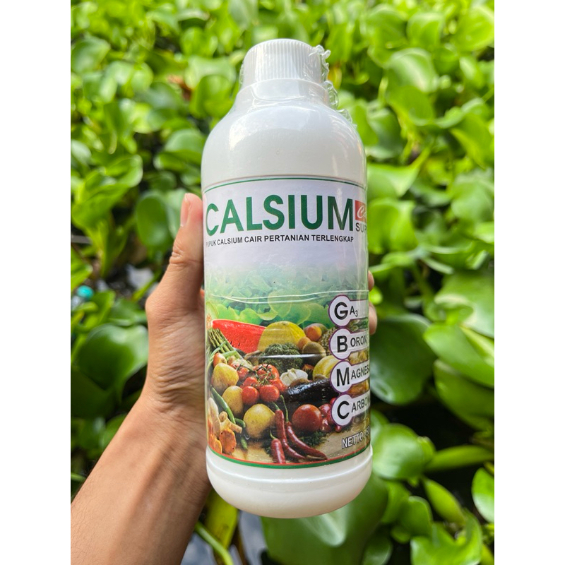 CALSIUM CAIR 500 ML
