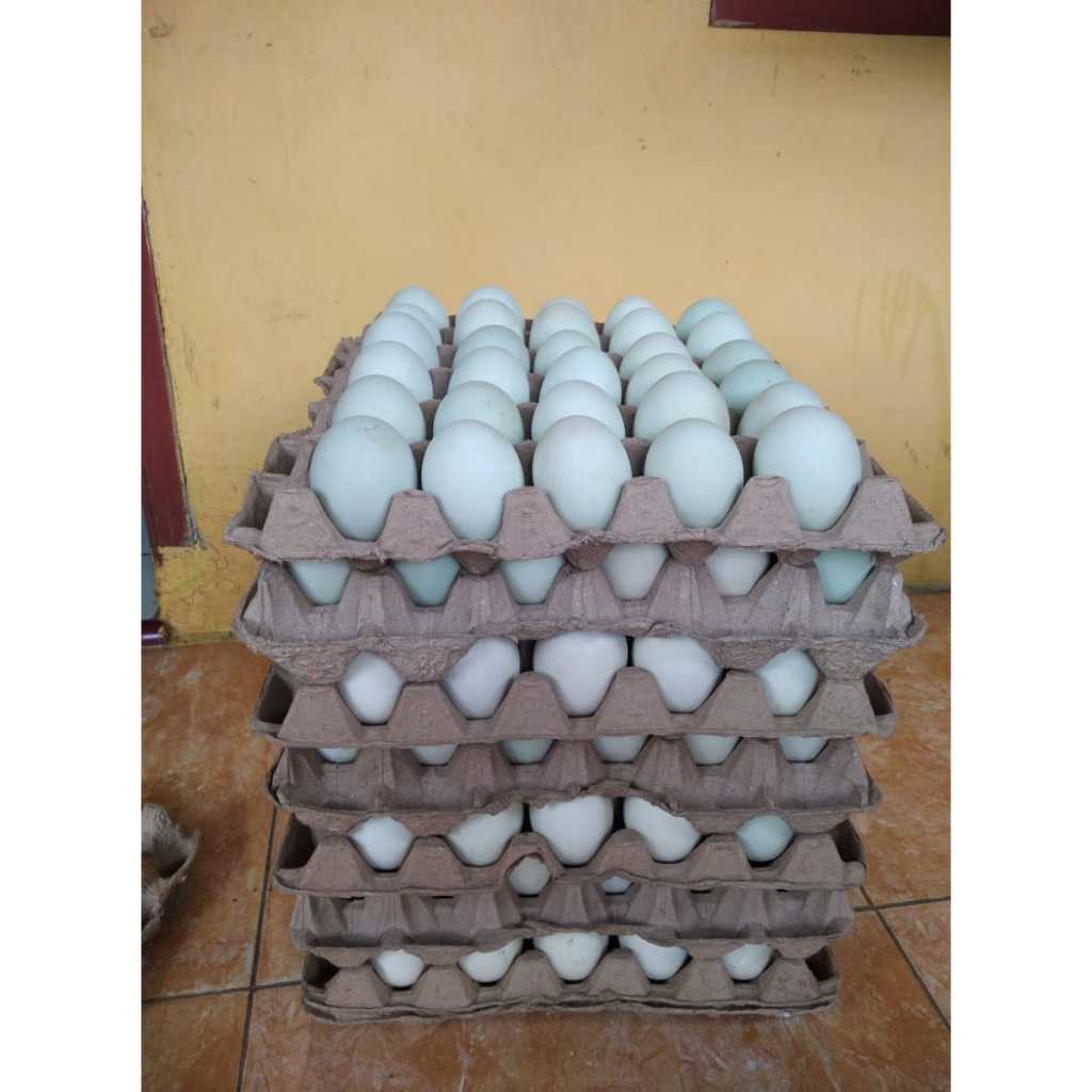 

Telur Asin matang Premium Medan