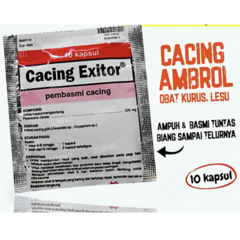 CACING EXITOR OBAT CACING AYAM CACING EXITOR OBAT AYAM SAKIT CACINGAN OBAT CACING AYAM UNGGAS BEBEK 