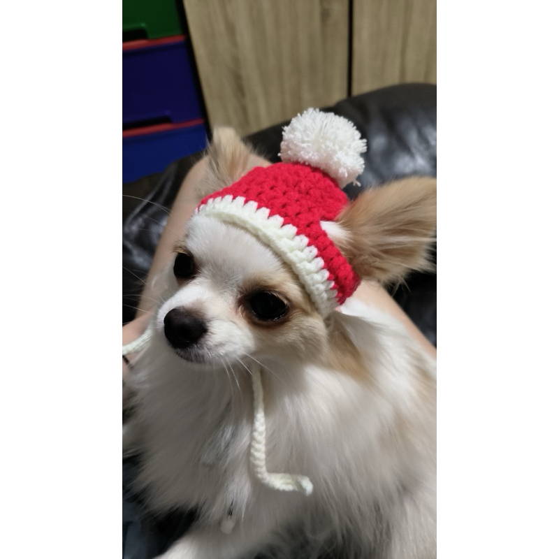 TOPI RAJUT POM POM UNTUK ANJING KUCING KELINCI HEWAN PELIHARAAN BEANIE KUPLUK CAT DOG HAT CROCHET KN