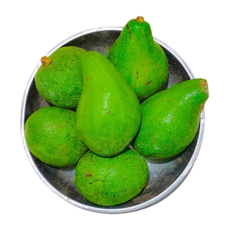 

Alpukat mentega isi 3-4-5 perkilo