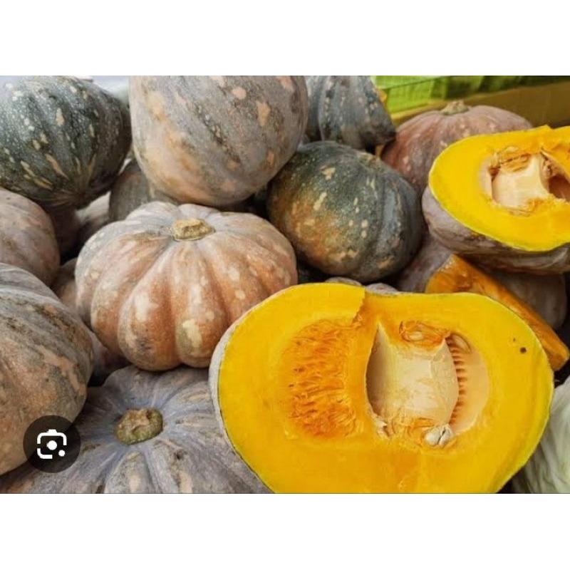 

LABU KUNING/kg