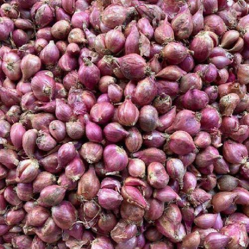 

Bawang Merah Kecil 500 gram