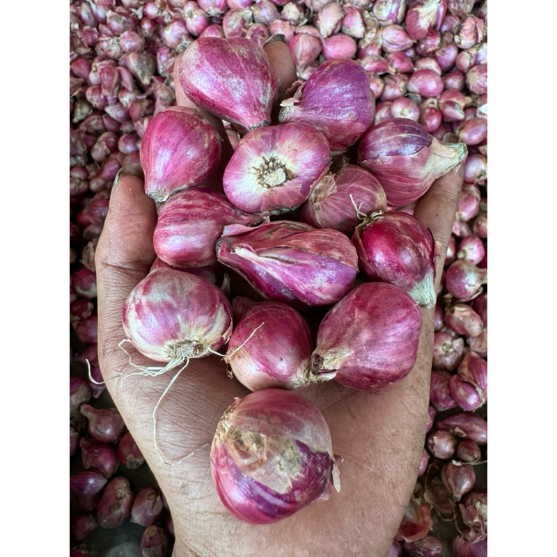

Bawang merah berat 1/4 kg , 1/5 kg / 1 kg , bawang , onion .
