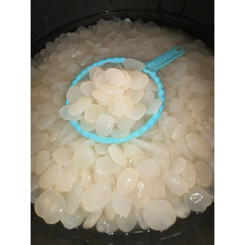 

Kolang Kaling super premium