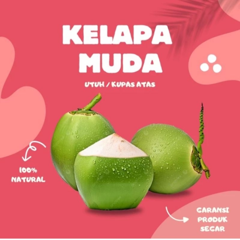 

buah kelapa muda segar degan ijo 1pcs