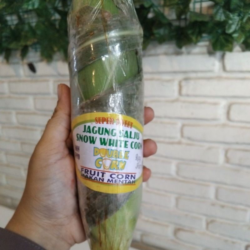 

Jagung Salju