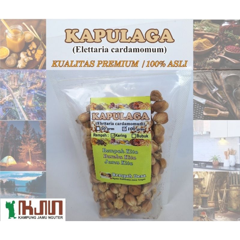 

Kapulaga Kering 100 gr Kualitas Premium