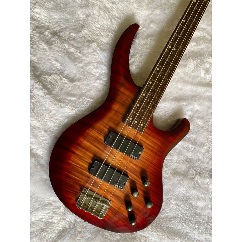 Bass Schecter Pickup Aktive