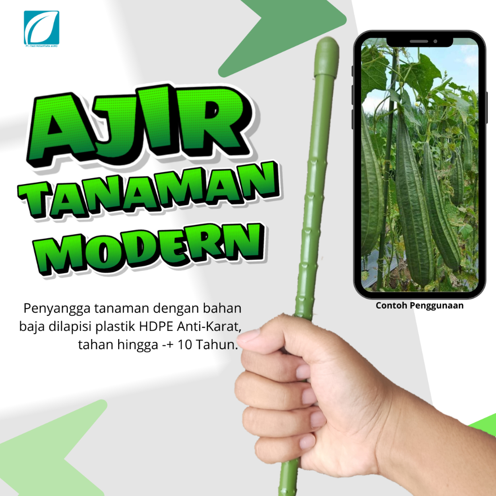 Ajir Tanaman Modern Takiron 11x1500 mm