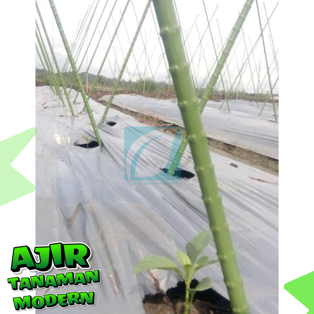 Mokilo43 Ajir Tanaman Modern Takiron 11X1500 Mm