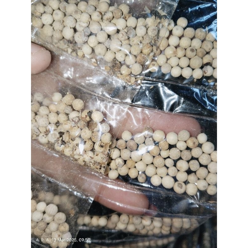 

Sahang/Merica/LADA bebiji 1renteng isi 10bks sperti d foto (Rempah masak)
