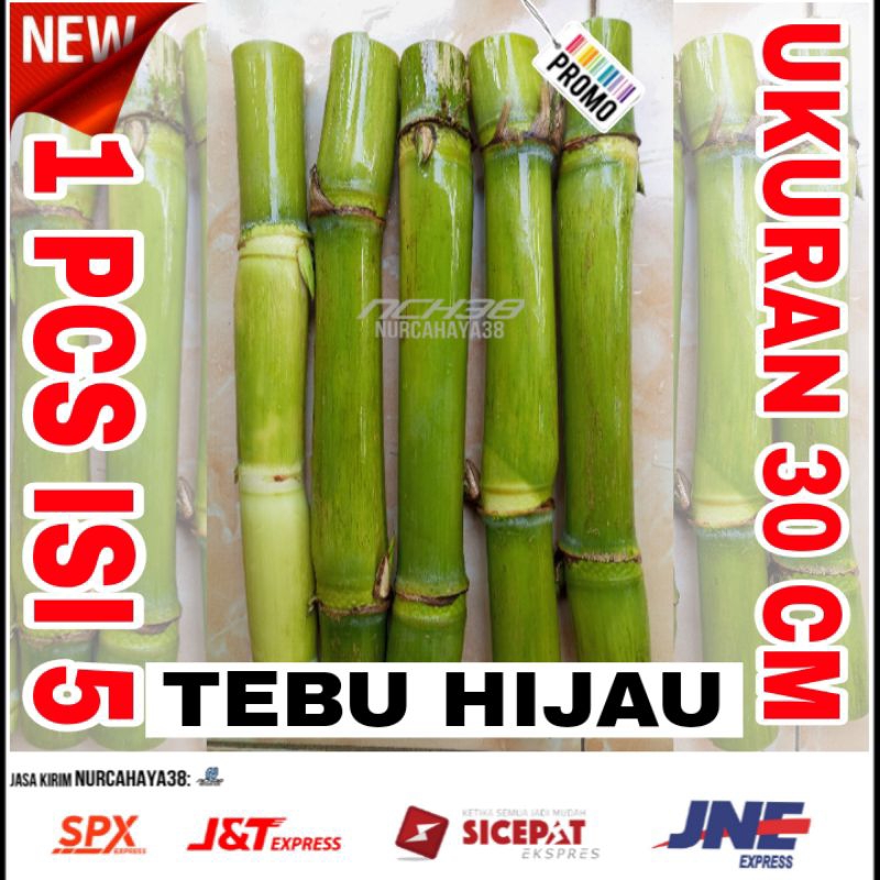Bibit tebu hijau | bibit stek tebu hijau | tebu hijau 1 pcs [ 5 batang ]