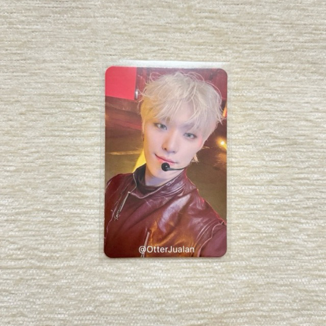 Seventeen DINO Photocard - FML YZY C