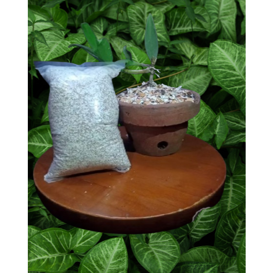 Cangkang Telur Murni Tanpa Campuran Pupuk Organik Cangkang Telur 1 Kilo