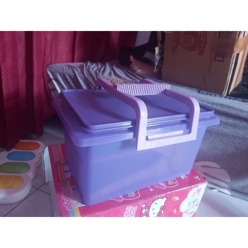 Tupperware Keep and Carry