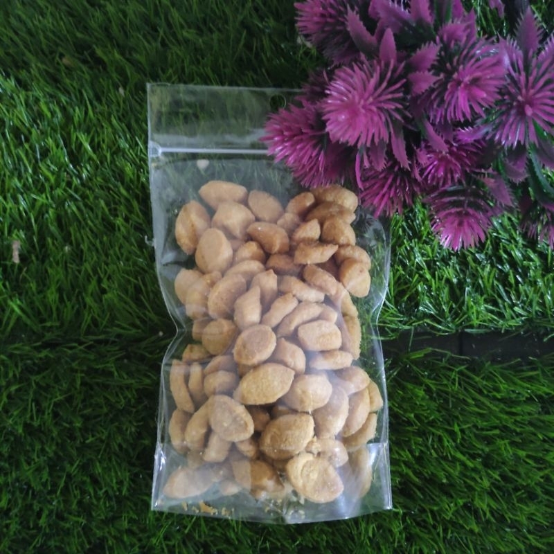 

bijiKetapangjadul500