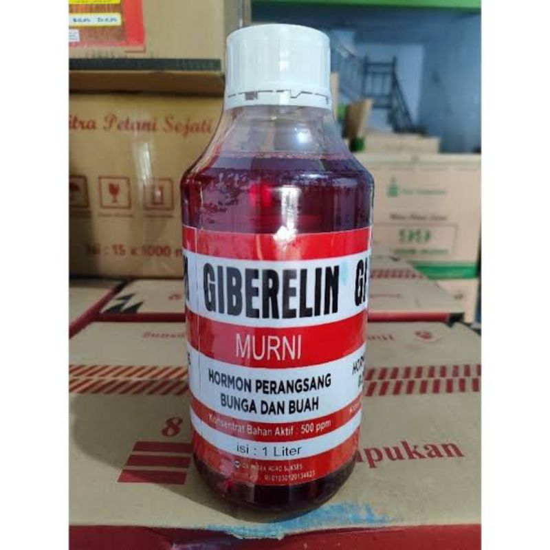 GIBERELIN +