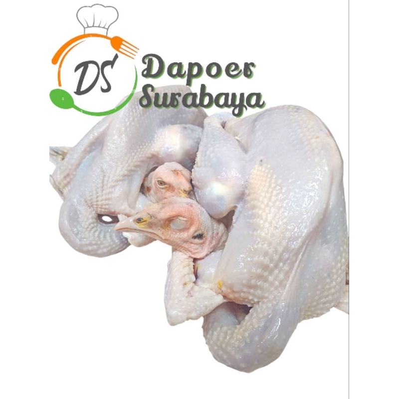 

ayam kampung medium berat (700-800gr)