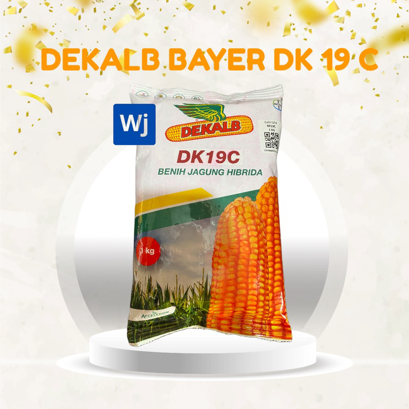 

JAGUNG DEKALB DARI BAYER DK 19C