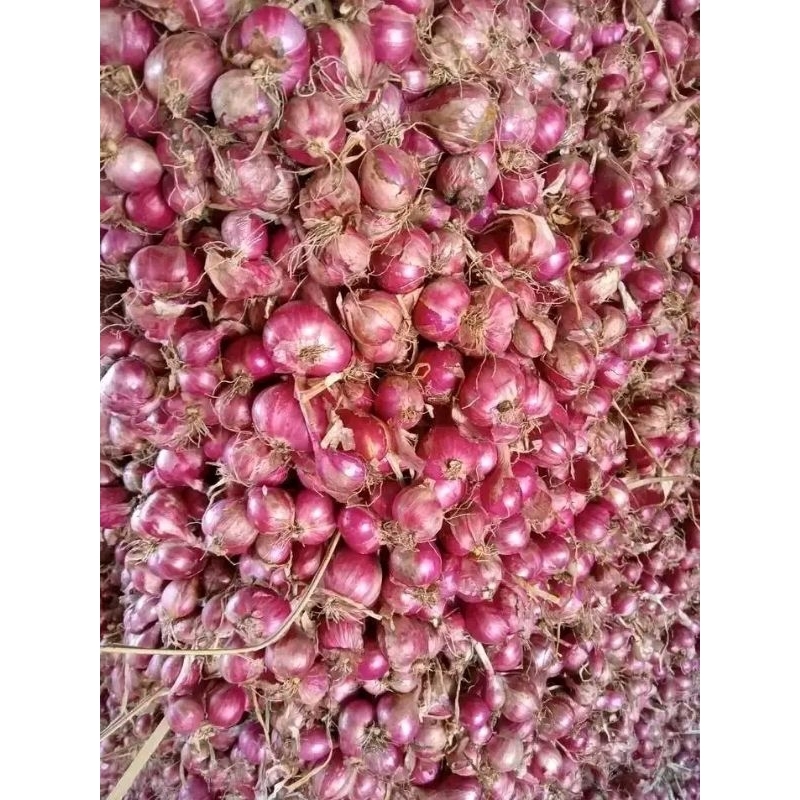 

Bawangmerahbrebes