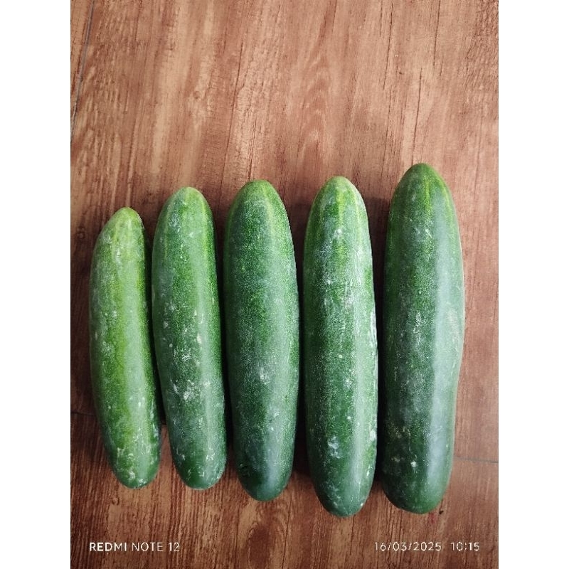 

Timun Besar 1 kg