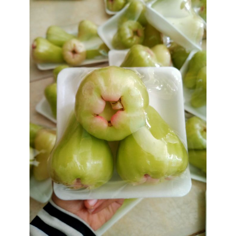 

Jambu Madu Deli Pack | 250-300gr 3 pcs